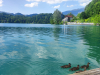 IMG_20240519_163238