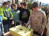 IMG_20250402_103613