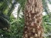 IMG-20231108-WA0024