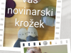 20250130_110129-COLLAGE