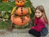 IMG-0db579879acdcaff968ea880be69cf6b-V