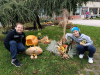 IMG-143b83abaca26934e05b7542ad86ebd7-V
