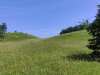 IMG_20240618_110837